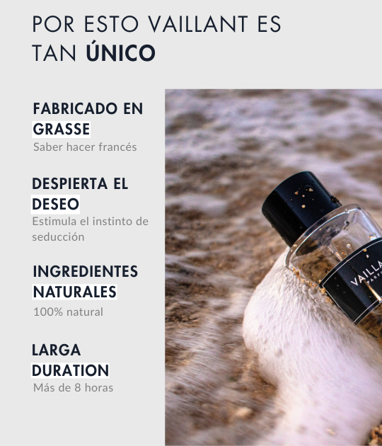Perfume Deseo - VAILLANT™